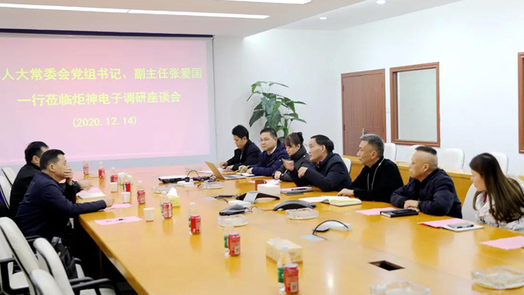 郴州市人大常委會(huì)黨組書記、副主任張愛(ài)國(guó)到炬神電子調(diào)研安全生產(chǎn)工作